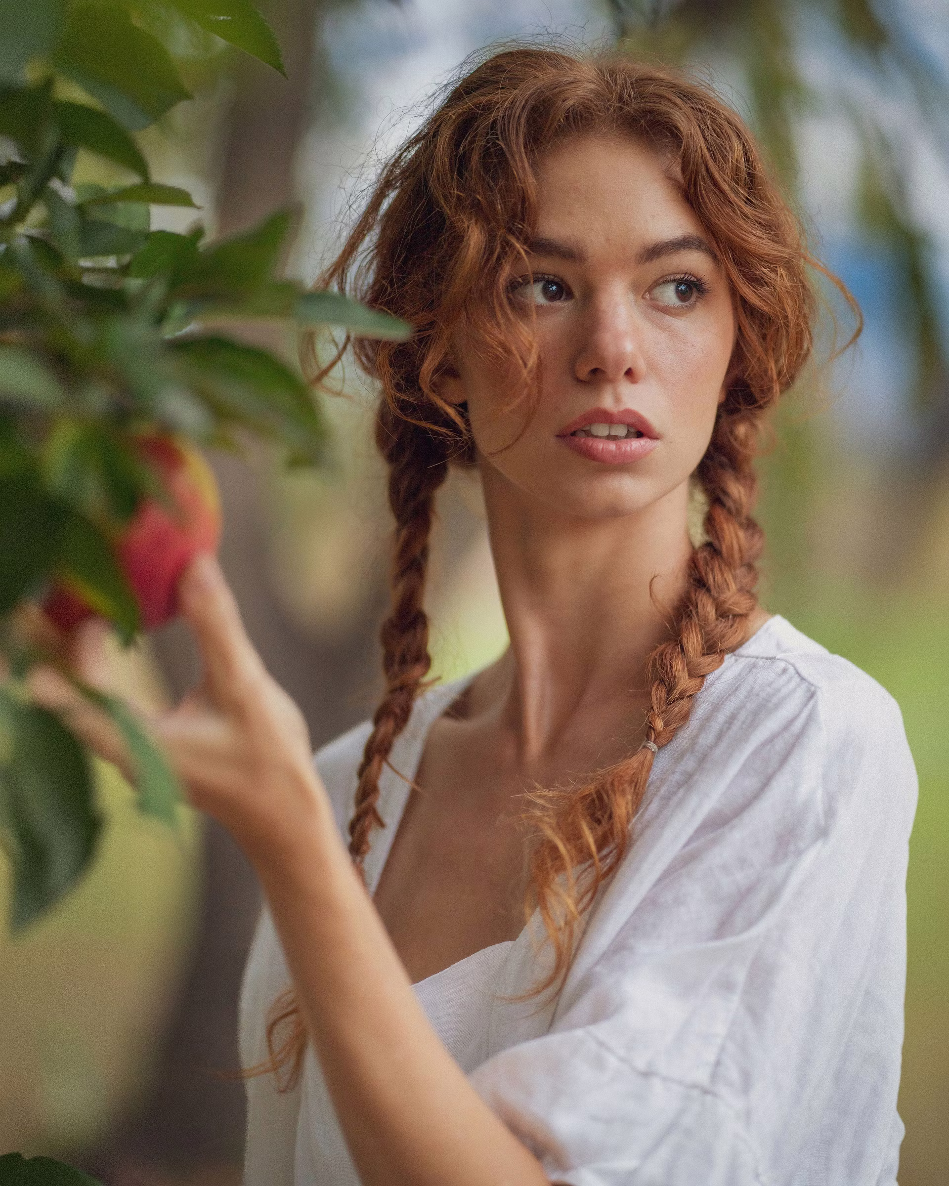 Tight portrait of Mickie reaching up to pluck a red apple from a green-leafed branch, white peasant dress, long red braids. Editorial portrait by Josiah Crowell.